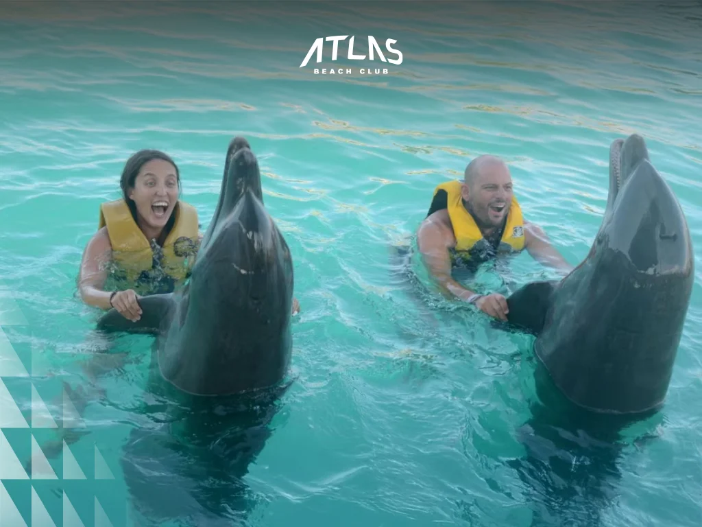 Compare Bali’s cultural vibrancy and Mauritius’ serene beauty, offering diverse landscapes and family-friendly activities. Bali rice terraces, Mauritius coral lagoons, family activities in tropical destinations