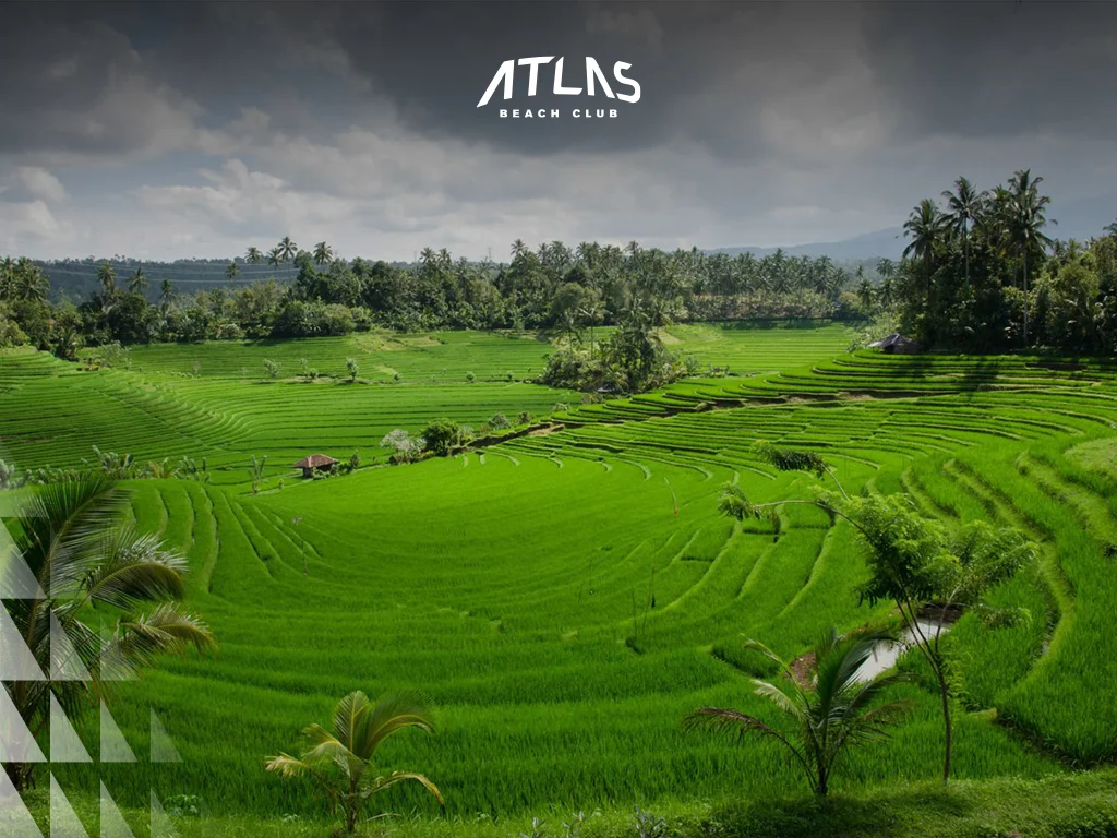 Compare Mediterranean’s rugged beauty and Bali’s serene coastlines, highlighting their distinct landscapes and climates. Mediterranean cliffs turquoise waters, Bali lush coastlines, contrasting climates.