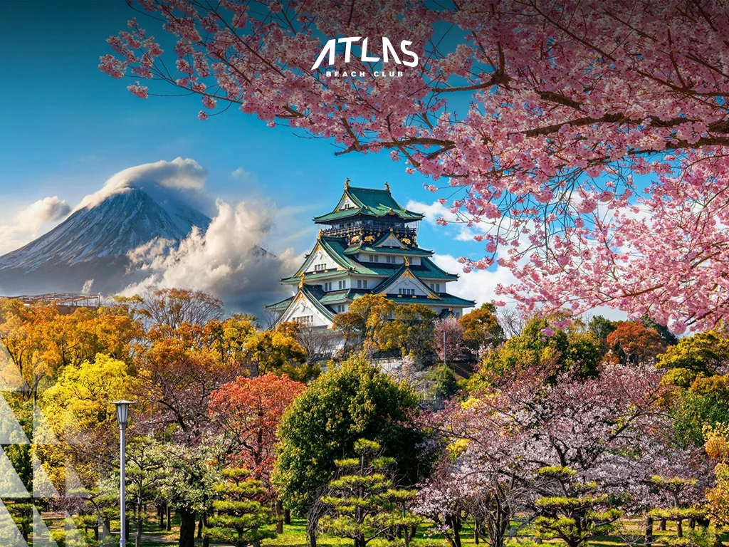 Japan cherry blossoms, spring festivals, best travel spots. Witness Japan’s cherry blossoms and enjoy cultural experiences in warm March weather with scenic landscapes and historical sites.