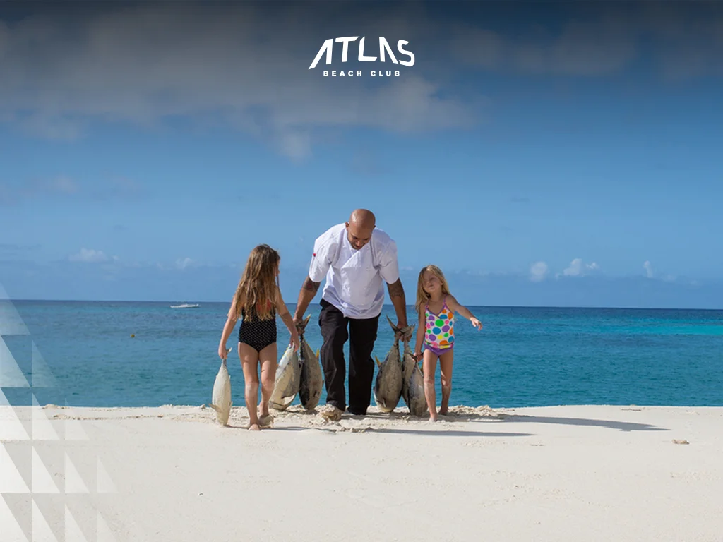 Bali is budget-friendly and accessible, while Seychelles offers exclusivity at higher costs for vacations. Affordable Bali hotels, Seychelles luxury resorts, accessible international flights