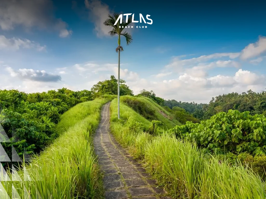 Bali’s trails cater to families and kids, with easy and moderate routes for foreign and international tourists. Easy trail path, family walking spot, kid-friendly nature trail.