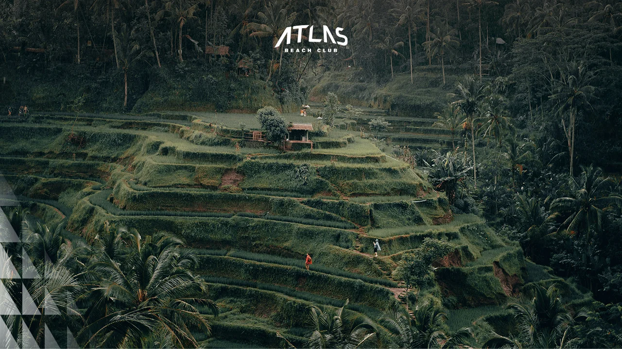 News - Irrigation and Culture in Bali: Learning About Bali’s Subak System with Kids - World's Biggest Beach Club & Super Club in Bali | Atlas Beach Fest
