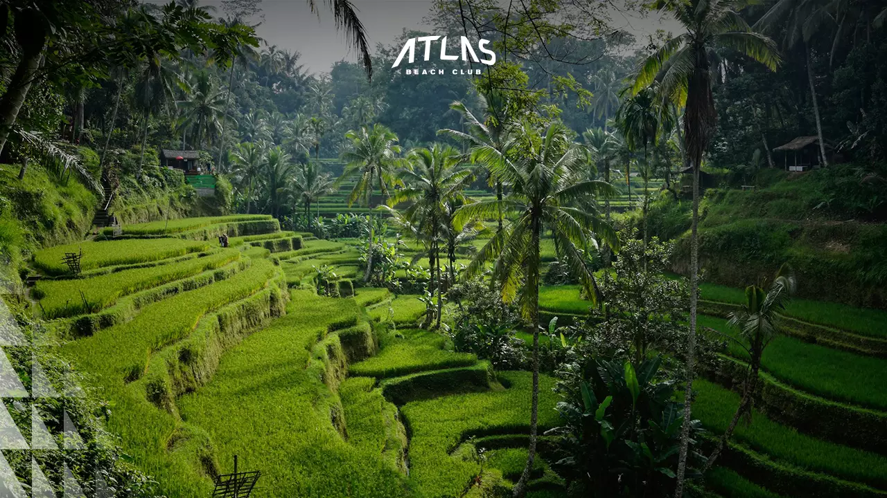 News - Bali Weather in March 2025: Place To Go & Travel Tips for Tourists - World's Biggest Beach Club & Super Club in Bali | Atlas Beach Fest