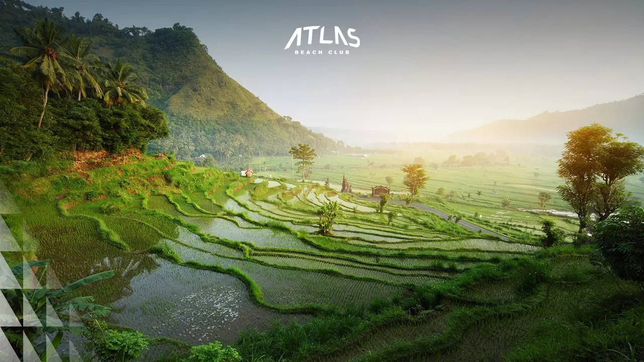 News - Canggu in March 2025 : Weather, Best Spot to Visit, And More! - World's Biggest Beach Club & Super Club in Bali | Atlas Beach Fest